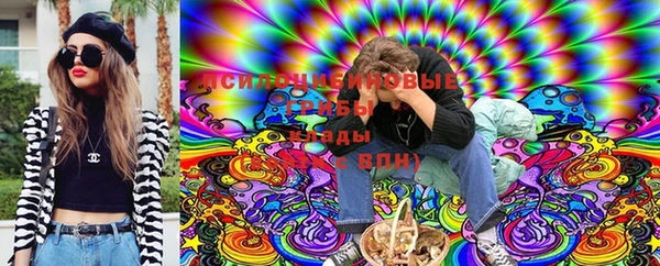 ПСИЛОЦИБИНОВЫЕ ГРИБЫ Алексеевка