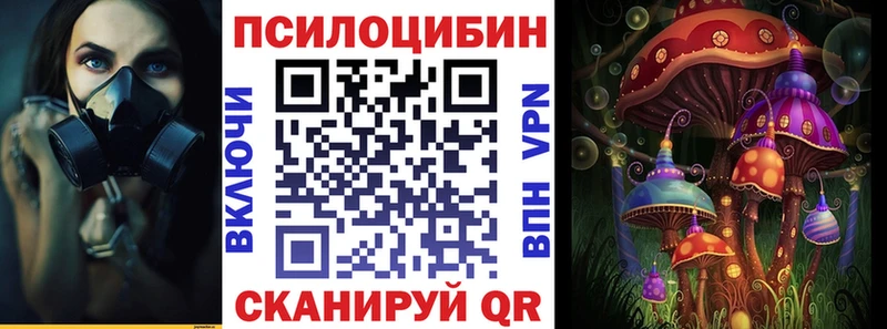 купить   Дегтярск  Галлюциногенные грибы Magic Shrooms 